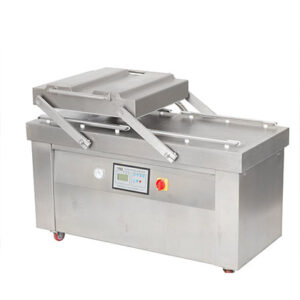 DZ600/2S double-chamber vacuum packing machine